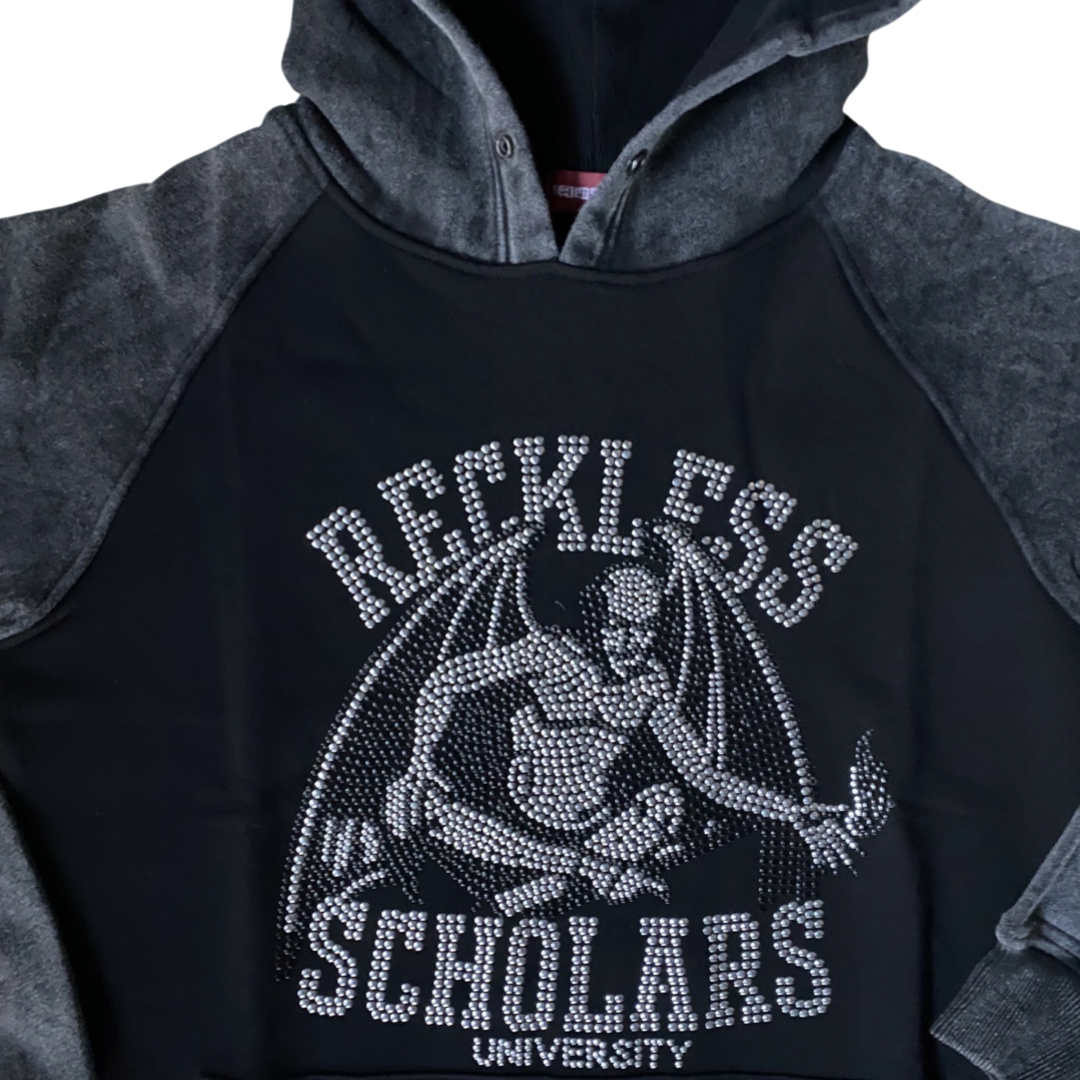 Reckless Scholars Hoodie (L)
