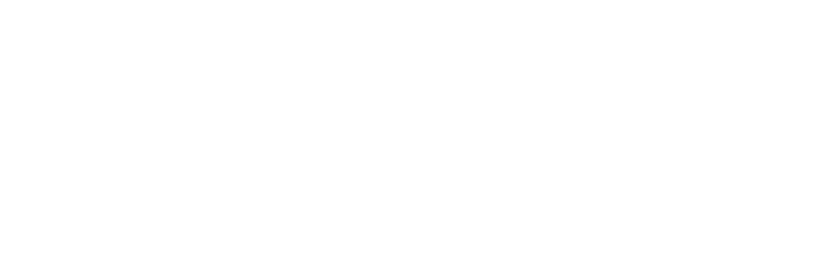 Ditto Store